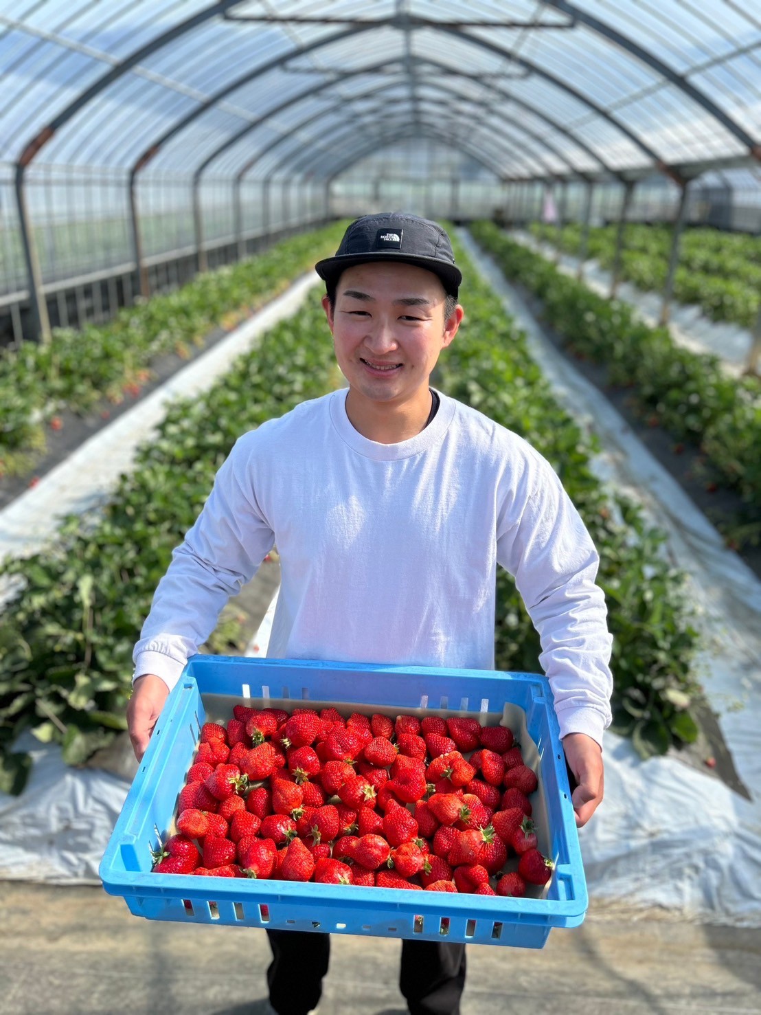 糸島いちごの森